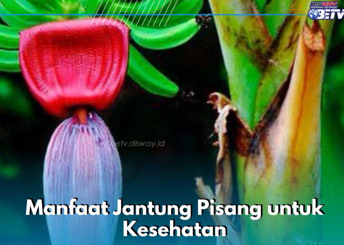 8 Manfaat Jantung Pisang yang Jarang Diketahui, Baik bagi Kesehatan Tubuh