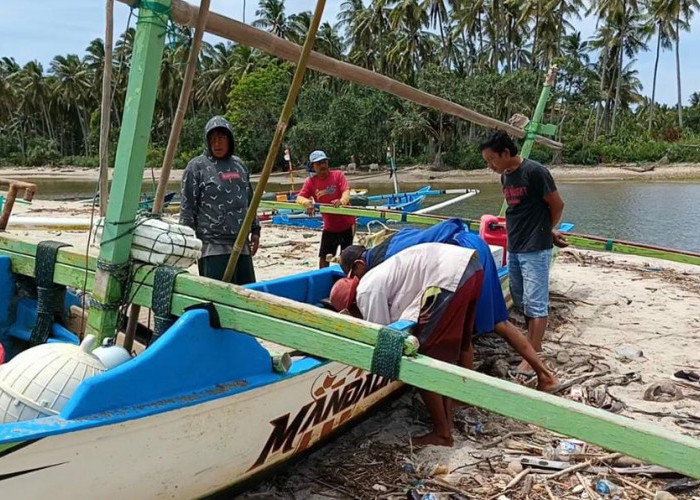 Ratusan Nelayan di Kaur Keluhkan Anjloknya Harga Benih Bening Lobster 