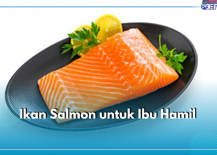 Ibu Hamil Disarankan Makan Ikan Salmon, Kaya Akan Protein, Ini Manfaat Bagi Kesehatannya