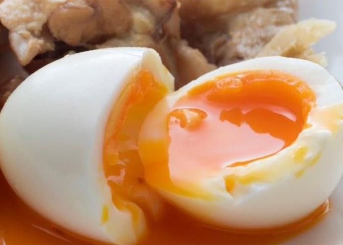 Cek di Sini! Makanan yang Perlu Dihindari Ibu Hamil, Baik untuk Kesehatan Ibu dan Janin