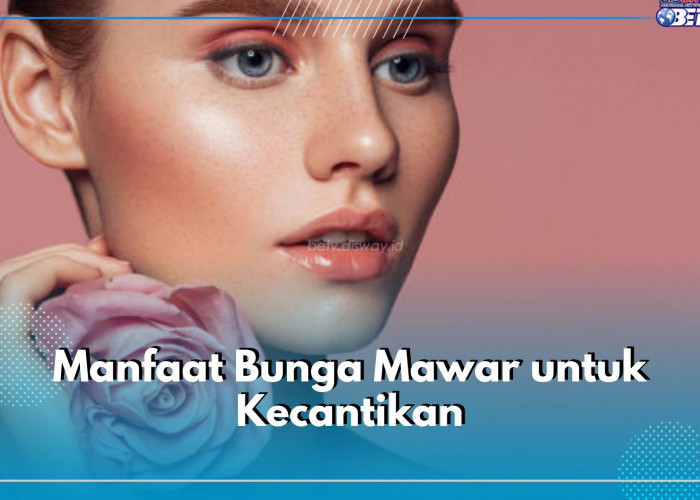 Sering Digunakan dalam Produk Skincare, Ternyata Ini 6 Manfaat Bunga Mawar Untuk Kecantikan