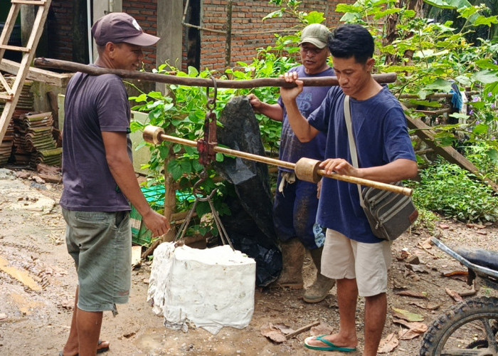 Harga Karet di Seluma Melonjak Tembus Rp20 Ribu per Kilogram, Petani Berharap Tren Bertahan