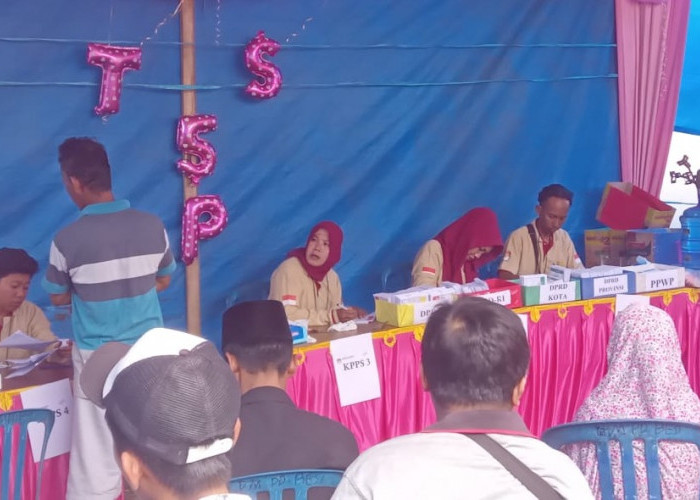 Real Count Sementara DPRD Kota Bengkulu Dapil 4: Caleg PKS, PKB, Hanura, PAN, dan Perindro Diprediksi Lolos