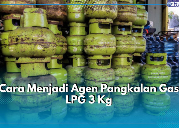 Ingin Daftar Jadi Agen Pangkalan Gas LPG 3 Kg? Cek Syarat dan Biaya yang Diperlukan di Sini!