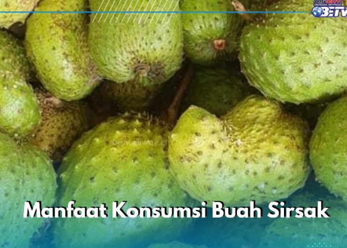 Manfaat Konsumsi Buah Sirsak bagi Kesehatan Tubuh, Ampuh Melancarkan Pencernaan