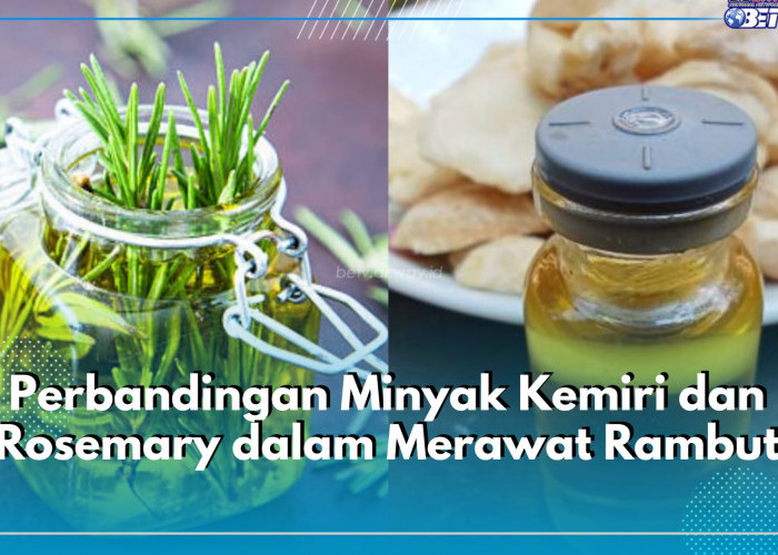 Perbandingan Minyak Kemiri dan Rosemary dalam Rawat Helai Rambut, Mana yang Lebih Unggul?