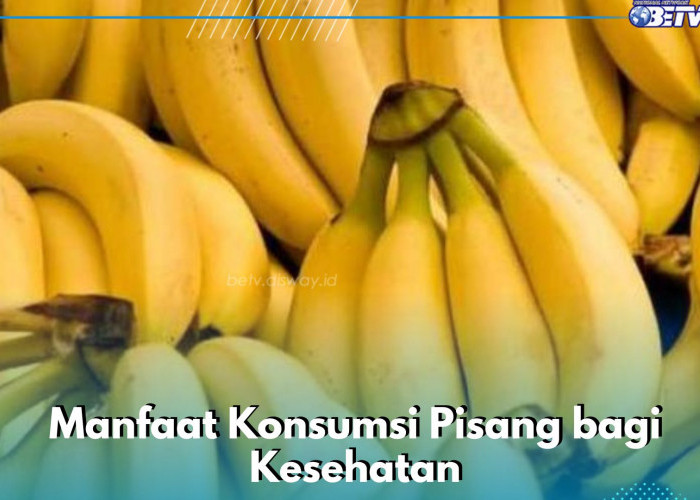 Cek Manfaat Buah Pisang di Sini, Kaya Nutrisi dan Ampuh Membuat Pencernaan Tetap Sehat