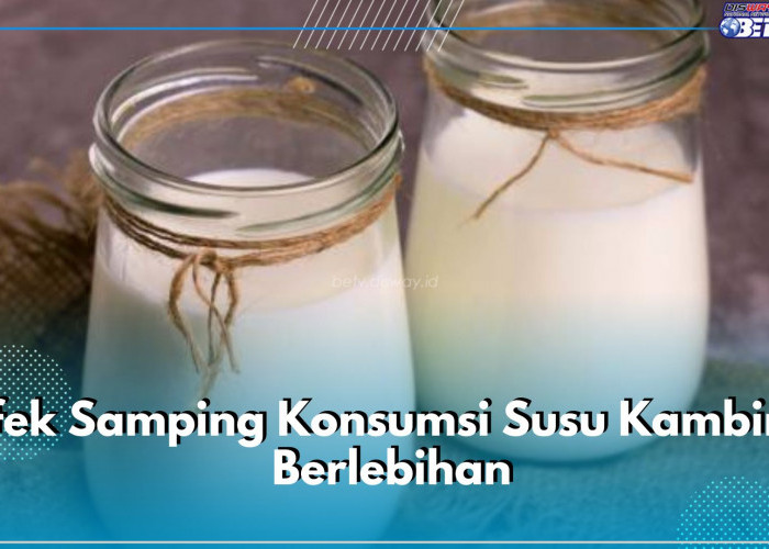 Kenali 5 Efek Samping Konsumsi Susu Kambing Berlebihan, Bisa Sebabkan Gangguan Pencernaan