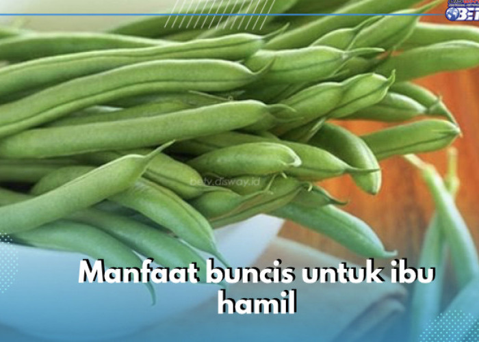 Baik untuk Ibu dan Janin, Ini 8 Manfaat Buncis untuk Bumil yang Jarang Diketahui