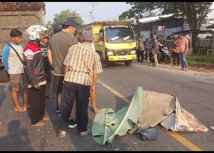 BREAKING NEWS: Adu Kambing dengan Truk Sawit, IRT di Bengkulu Tengah Meninggal di Tempat