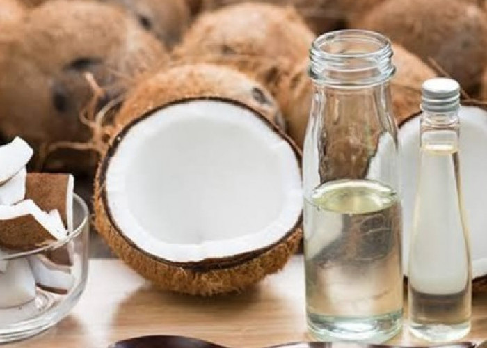 Cek di Sini! Bahan Alami untuk Perawatan Rambut, Mudah Ditemukan dan Praktis Digunakan