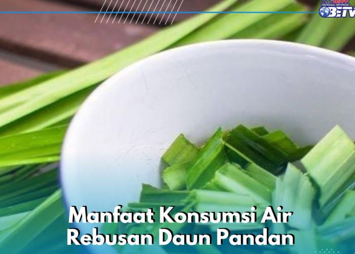 Air Rebusan Daun Pandan Ini Ampuh Menjaga Kesehatan Jantung, Cek Manfaat Lengkapnya di Sini