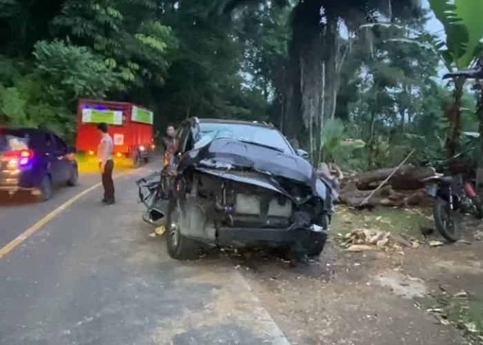 BREAKING NEWS: Pasutri Tertimpa Pohon Tumbang di Desa Tebat Monok