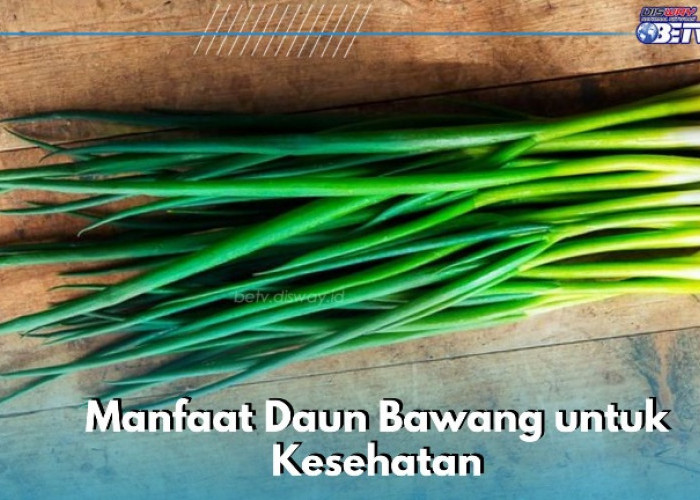 Manfaat Lain Daun Bawang bagi Ibu Hamil, Mampu Menurunkan Kadar Kolesterol