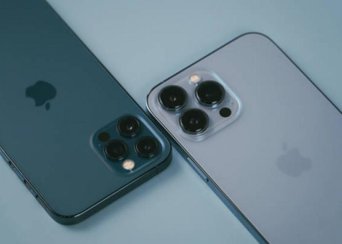 Jangan Bingung, Ini 4 Rekomendasi iPhone yang Worth It Untuk Dibeli di Tahun 2024, Harga Mulai 6 Jutaan