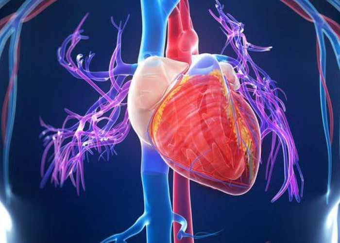 Kenali Bedanya Gejala Serangan Jantung dan Henti Jantung, Penyakit Mematikan di Dunia
