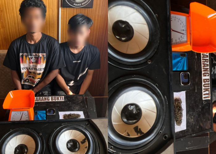 Simpan Ganja Dalam Speaker, 2 Pemuda Bengkulu Dibekuk Polisi