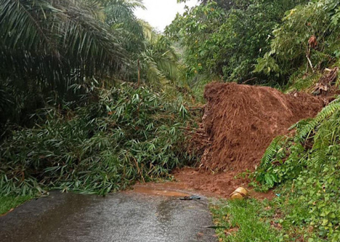 Hujan Deras, Jalan Desa Lubuk Tanjung Tertimbun Longsor
