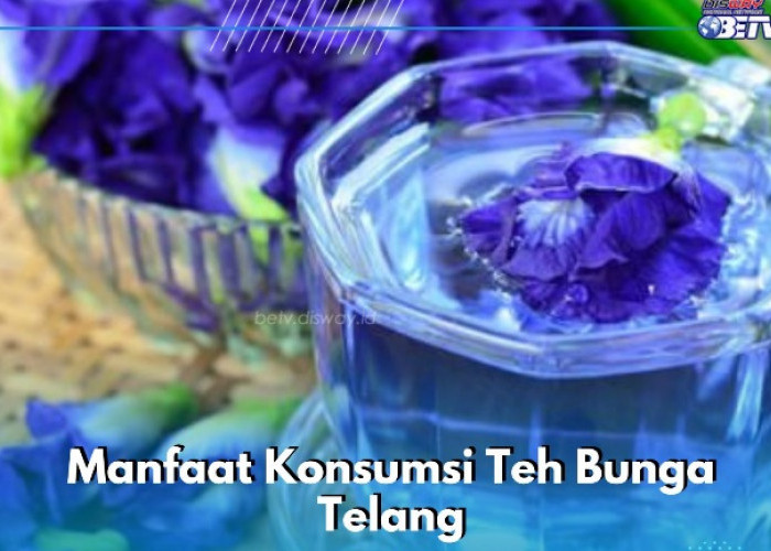 Ini Manfaat Konsumsi Teh Bunga Telang yang Ditawarkan, Ampuh Meredakan Gejala Asma