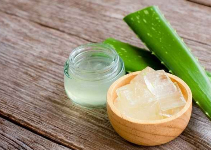 Atasi Pori-pori Membandel dengan Masker Lidah Buaya, Cek Cara Lainnya Disini!