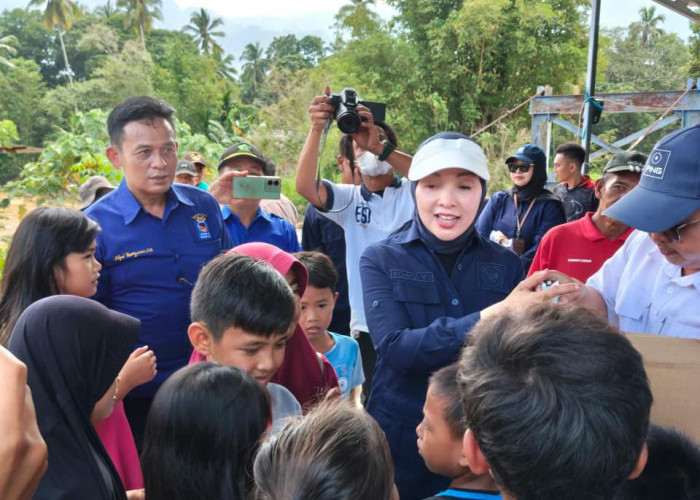 Erna Sari Dewi Inisiasi Mitra Kerja Turun Atasi Banjir dan Longsor di Lebong