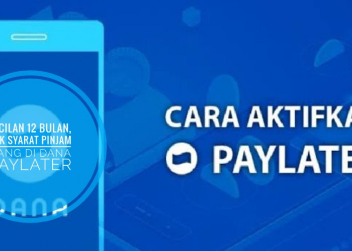 Harus Dicoba! Pinjaman Rp10 Juta Cair Otomatis ke Dompet Digital, Dengan Cara Ajukan ke DANA Paylater