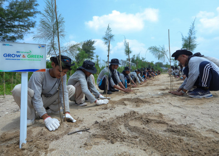 Dukung Ekosistem, BRI Pertegas Komitmen dengan Menanam - Grow & Green di Hari Lingkungan Hidup Sedunia