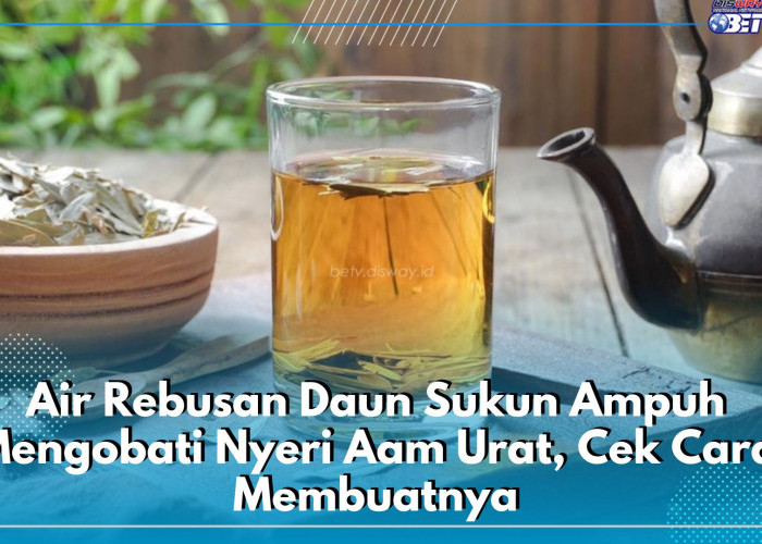 Penderita Asam Urat Wajib Tahu! Air Rebusan Daun Sukun Ampuh Mengobati Nyeri, Cek Cara Membuatnya