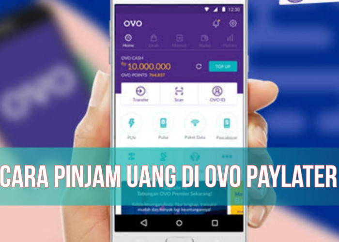 10 Menit Langsung Cair, Simak Cara Pinjam Uang di OVO PayLater, Limit hingga Rp10.000.000