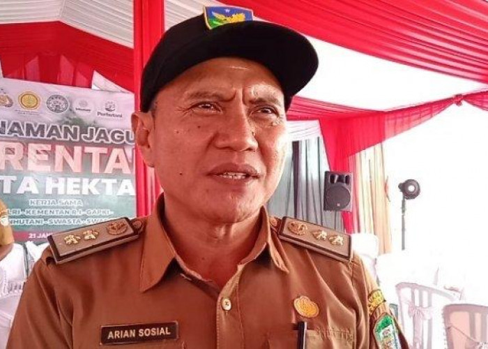 Sukseskan Program Cetak Sawah, Dinas Pertanian Seluma Normalisasi Jaringan Irigasi