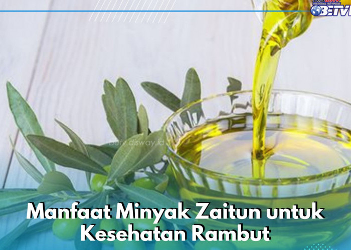 Ini Manfaat Minyak Zaitun untuk Rambut, Ampuh Mengatasi Rambut Mengembang