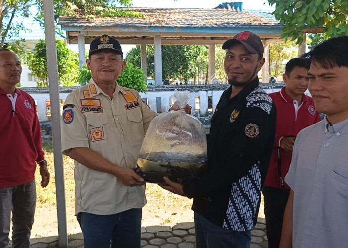 Solusi Lahan Sempit, 4 Kelompok Masyarakat di Bengkulu Selatan Dapat Bantuan Budikdamber