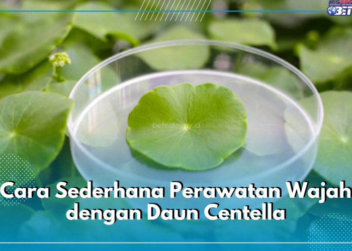 Cara Sederhana Perawatan Wajah dengan Daun Centella, Begini Cara Mengolahnya yang Baik dan Benar