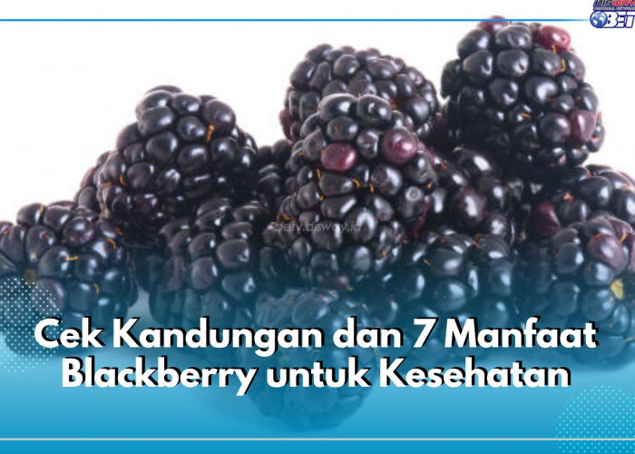 Cek Kandungan dan 7 Manfaat Blackberry untuk Kesehatan Ini