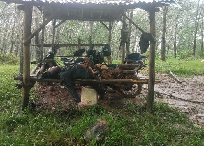 Kilat Maut di Perkebunan Karet: 1 Pekerja PTPN VII Tewas Disambar Petir, 2 Lainnya Luka-luka