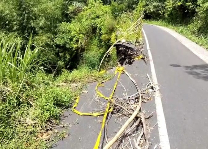 Jalan Longsor di Kepahiang Tak Kunjung Diperbaiki Pemprov Bengkulu
