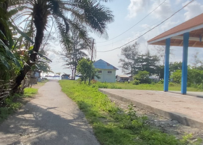 Pokdarwis Usulkan Penambahan Fasilitas, Pantai Pasar Bawah Diproyeksikan Jadi Pusat Wisata Keluarga