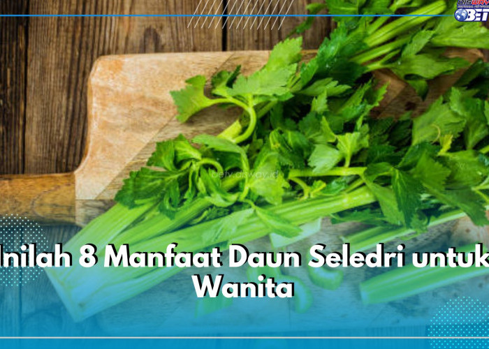 Jarang Diketahui, Inilah 8 Manfaat Daun Seledri untuk Wanita