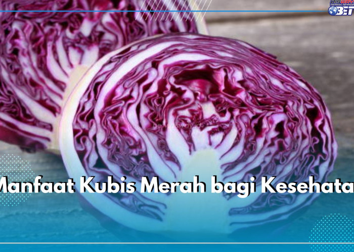 Kaya Akan Antioksidan, Ini 7 Manfaat Kubis Merah bagi Kesehatan Berikut Ini