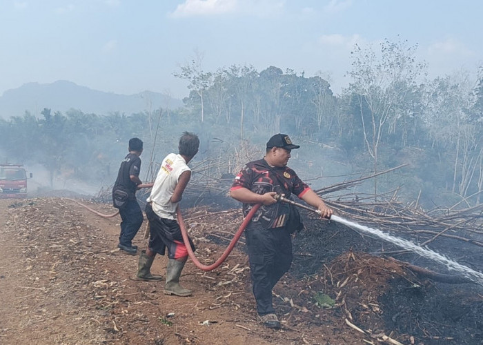 Api Melahap 3 Hektare Lahan Perkebunan di Taba Penanjung, Warga Diimbau Waspada Musim Kemarau