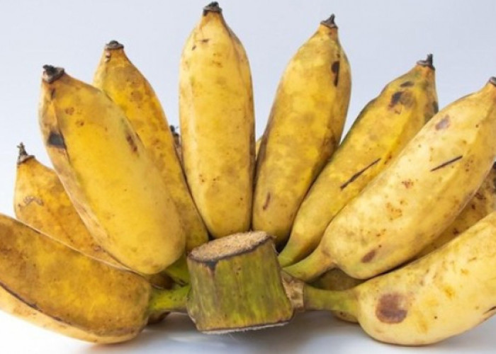Jangan Konsumsi Pisang Berlebihan Bisa Picu Segudang Efek Samping, Ini Penjelasannya!