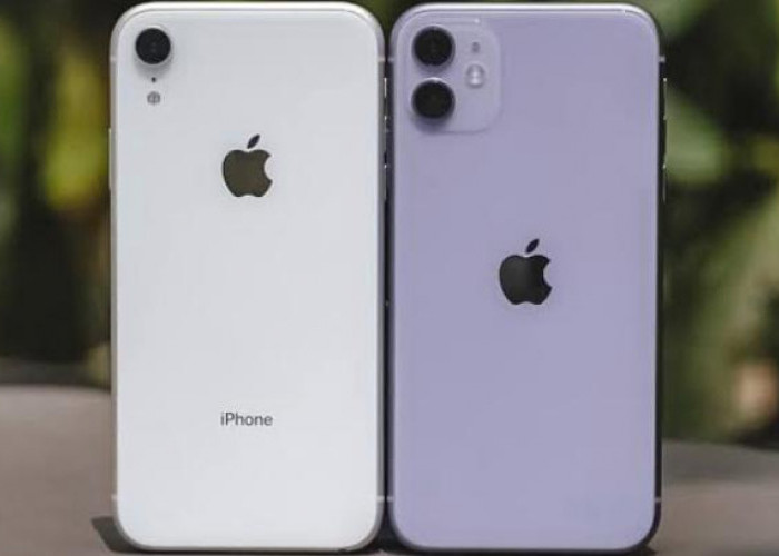 Sama- sama Dijual Murah, Ini Perbandingan Spesifikasi iPhone XR dan 11, Minat Mana?