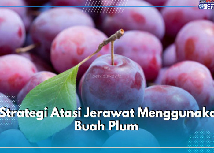 6 Strategi Atasi Jerawat Menggunakan Buah Plum, Yuk Terapkan Caranya di Sini