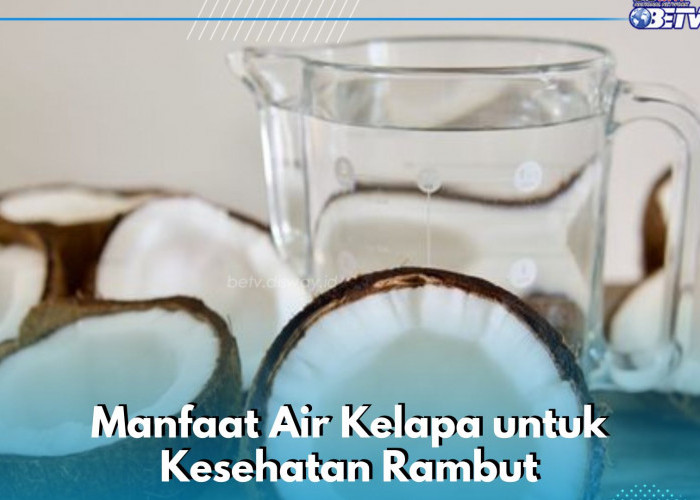 Manfaat Lain Konsumsi Air Kelapa bagi Kesehatan Rambut, Ampuh Mengurangi Ketombe