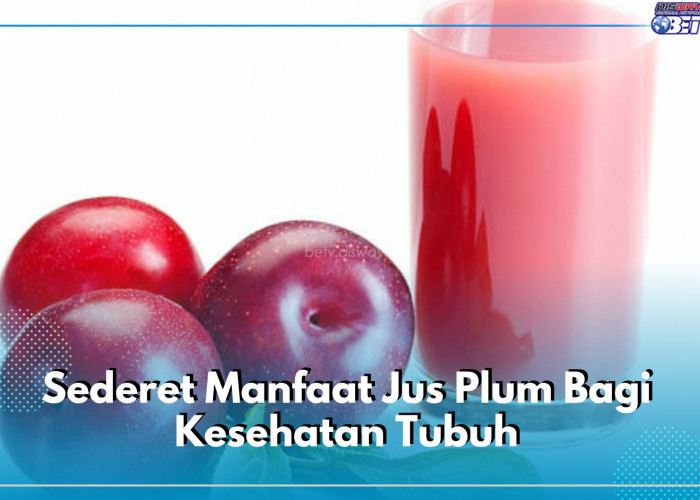 Enak Dikonsumsi Sebagai Minuman Segar, Inilah Sederet Manfaat Jus Plum Bagi Kesehatan Tubuh