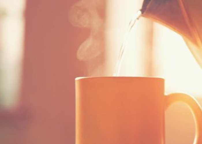 Cek Minuman yang Baik untuk Membantu Melancarkan BAB, Mudah Dibuat di Rumah
