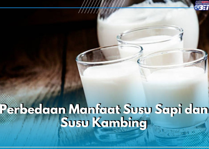 Ini 5 Perbedaan Manfaat Susu Sapi dan Susu Kambing, Mana yang Lebih Sehat?