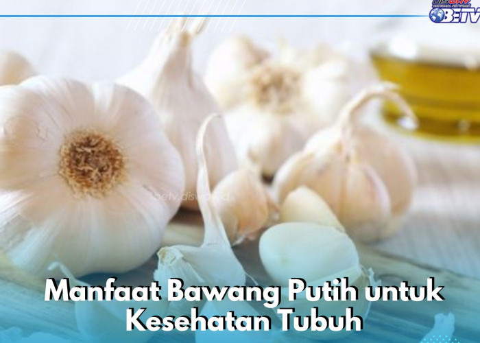 Bawang Putih Minim Kalori, Cek Manfaat yang Ditawarkan untuk Kesehatan di Sini