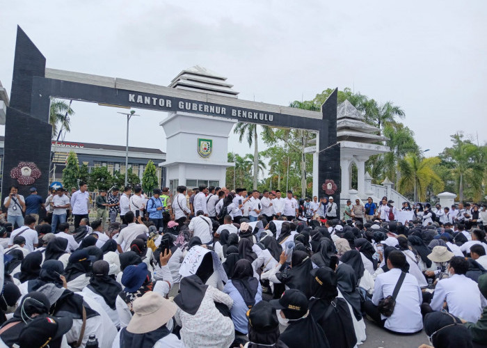 Pemprov Bengkulu Tegaskan Honorer R2 dan R3 Tidak Lolos Seleksi PPPK Diangkat Paruh Waktu 