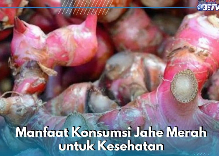 Meredakan Sakit Tenggorokan dengan Mudah, Ini Manfaat Konsumsi Jahe Merah yang Perlu Diketahui